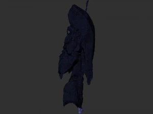 Hanging pork 3d Scan 3D Model