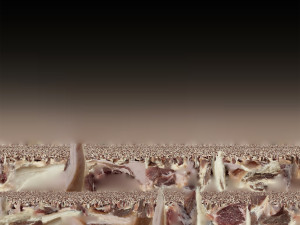 Hanging pork 3d Scan Model 3D