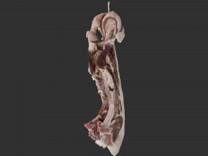 Hanging pork 3d Scan 3D Model