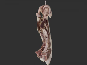 Hanging pork 3d Scan 3D Model