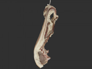 Hanging pork 3d Scan 3D Model