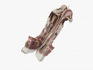 Hanging pork 3d Scan 3D Model