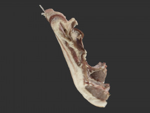Hanging pork 3d Scan 3D Model
