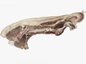 Hanging pork 3d Scan 3D Model