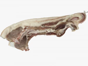 Hanging pork 3d Scan 3D Model