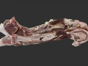 Hanging pork 3d Scan 3D Model