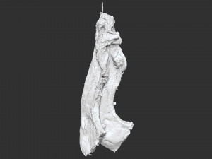 Hanging pork 3d Scan 3D Model