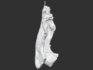 Hanging pork 3d Scan 3D Model