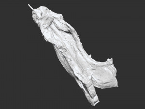 Hanging pork 3d Scan 3D Model