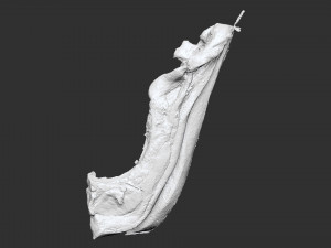 Hanging pork 3d Scan 3D Model