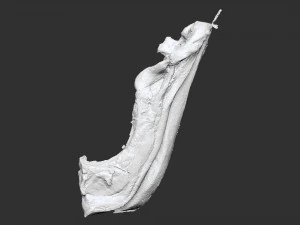 Hanging pork 3d Scan 3D Model