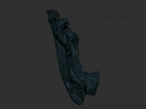 Hanging pork 3d Scan 3D Model
