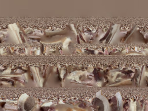 Hanging pork 3d Scan 3D Model