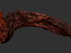3d scan of Tree trunk Modello 3D