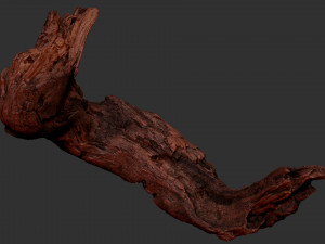 3d scan of Tree trunk Modello 3D