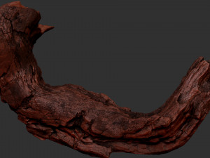 3d scan of Tree trunk Modello 3D