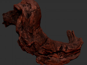 3d scan of Tree trunk Modello 3D