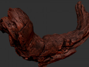 3d scan of Tree trunk Modello 3D
