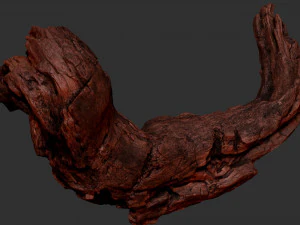 3d scan of Tree trunk 3D Model