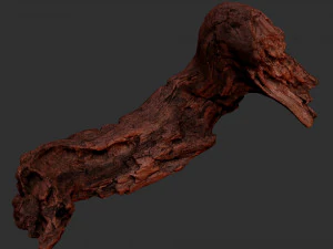 3d scan of Tree trunk 3D Model