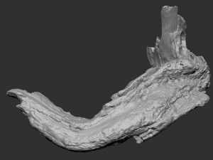 3d scan of Tree trunk Modello 3D