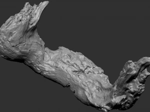 3d scan of Tree trunk 3D Model
