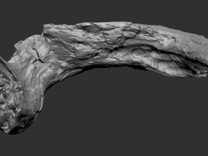 3d scan of Tree trunk Modello 3D