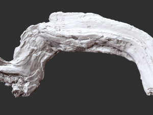 3d scan of Tree trunk Modello 3D