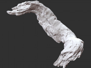 3d scan of Tree trunk Modello 3D
