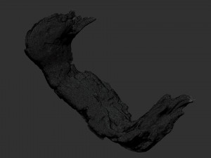 3d scan of Tree trunk Modello 3D