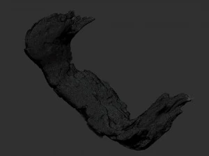 3d scan of Tree trunk 3D Model