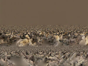3d scan of Tree trunk 3D Model