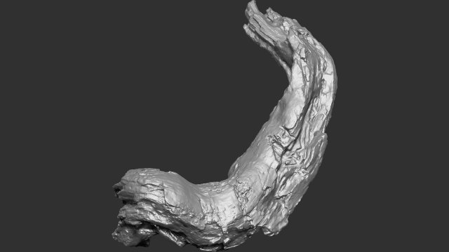 3d scan of tree trunk in highpoly Modelo 3D .c4d .max .obj .3ds .fbx .stl .blend 