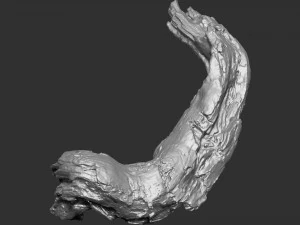 Varredura 3D do tronco de &aacute;rvore em highpoly Modelo 3D