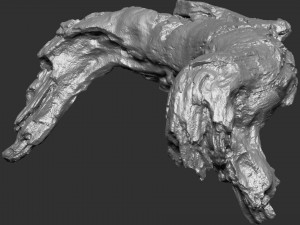 3d scan of tree trunk in highpoly Modelo 3D