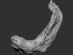 3d scan of tree trunk in highpoly Modelo 3D