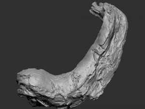 3d scan of tree trunk in highpoly Modelo 3D