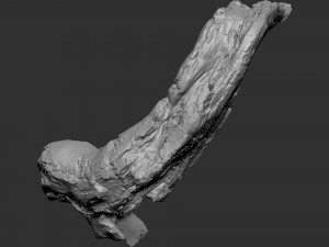 3d scan of tree trunk in highpoly Modelo 3D