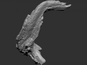 3d scan of tree trunk in highpoly Modelo 3D