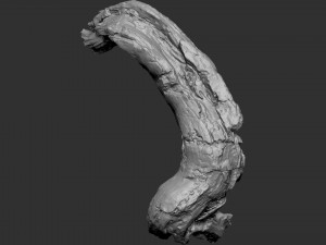 3d scan of tree trunk in highpoly Modelo 3D