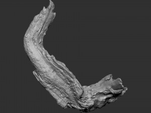 3d scan of tree trunk in highpoly Modelo 3D