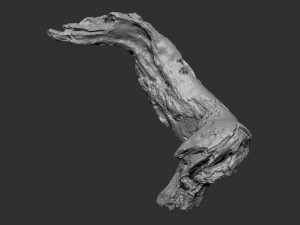 3d scan of tree trunk in highpoly Modelo 3D