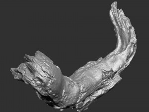 3d scan of tree trunk in highpoly Modelo 3D