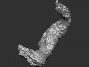 3d scan of tree trunk in highpoly Modelo 3D