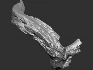 3d scan of tree trunk in highpoly Modelo 3D