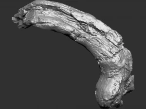 3d scan of tree trunk in highpoly 3D Model