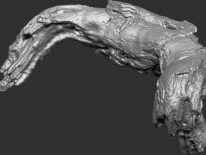 3d scan of tree trunk in highpoly Modelo 3D