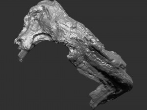 3d scan of tree trunk in highpoly Modelo 3D