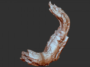 3d scan of tree trunk in highpoly Modelo 3D