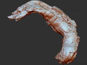 3d scan of tree trunk in highpoly Modelo 3D